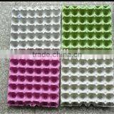 Rich Experience Egg Carton Tray Machine thumbnail-3