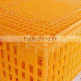 GOOD QUAILTY Pharmacy Plastic Chick Transport Basket Made in China Skype What's App:008615315898300 thumbnail-4
