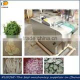Different Kinds of Knife Electric Vegetable Cutter / Vegetable Slicer/ Vegetable Cutting Machine YQC-660 thumbnail-1