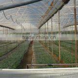 Clear Color Agricultural Greenhouse 3 Layer Film With Different Specifications thumbnail-1