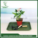 2015 Hot Sale China Professional Manufacturer for Plastic Shoe Tray From Factory thumbnail-5