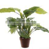 SJ0301115 Ornamental Landscaping Aquarium Plants Garden Decorative Green Plants thumbnail-4