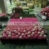 SJ0061874 Hot Sale Artificial Flower Wall Hanging Flower for Weeding Decoration thumbnail-2