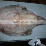 Frozen Monkfish Gutted (Lophius Litulon) thumbnail-1