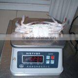 Frozen Whole Crab Price thumbnail-1