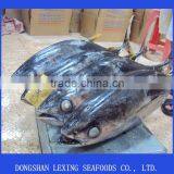Tuna thumbnail-1