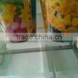 2015 Hot Sale Custom Printed Paper Coloured Plant Pots thumbnail-1