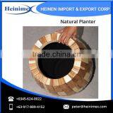 Widely Selling, Fiberglass Made Flower Planters for Home Decore thumbnail-4