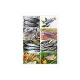 Frozen Seafood of Pacific Mackerel Fish thumbnail-3