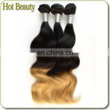 Wholesale Unprocessed Queen ombre human virgin hair body wave bundles