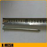 40D 5inches Length Galvanized Common Wire Nails thumbnail-5