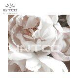 Custom Picture Frames for Walls, Gallery Wall Frame Set, Wall Frame Decor, Gallery Wall Picture Frames thumbnail-3