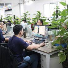 MOKOSmart company overview - view 2 thumbnail