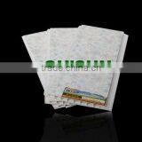 2012 Haining The Newest Drop Ceiling