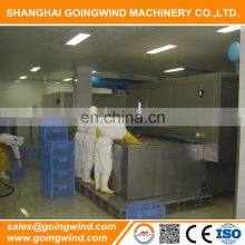 Professional Automatic IQF Tunnel Freezer Machine Individual Frozen Food Machinery Cheap Price for Sale