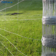 High Quality Galvanized Fixed Knot Fencing for Cattle and Sheep Farm thumbnail-3