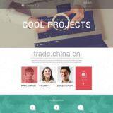 Website Design