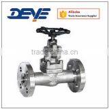 API 600 High Pressure 800LB 1500LB 2500LB Gate Valve With Flange Ends thumbnail-6