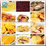 Factory Supply Cassava Drying Machine Food Belt Dryer With CE thumbnail-2