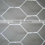 Hexagonal wire mesh /chicken wire mesh & manufacture factory