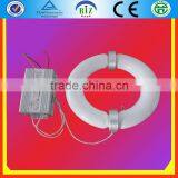 Low Frequency Induction Dual Arc Bulb
