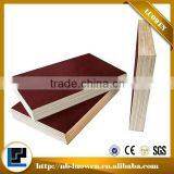Waterproof Film Faced Plywood for Construction Plywood Concrete Formwork thumbnail-4