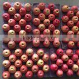 JINGCHUAN QINGUAN thumbnail-5