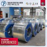 Pre-painted Galvanized Steel Coil Price/ Hot Dip Galvanized Steel Roofing Sheet thumbnail-5