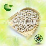 White Kidney Beans (Navy Type) thumbnail-1