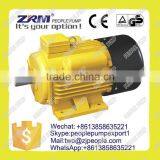 YCL Series Single-phase dc Brushless Electric Motor thumbnail-1