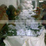 Dallas Clothing House company overview - view 1 thumbnail