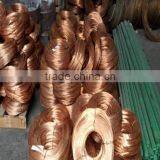 Suppier copper scrap 99.99%