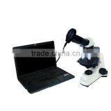 DBMVV5000-500P 5.0MP Digital Polarizing Microscope