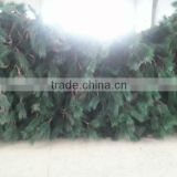 2014 Steel Pine Tree Tower from China Steel Telecommunication Tower Factory