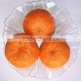 Orange Fruit Specification Cheaper Price