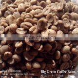 Raw Green Coffee Beans
