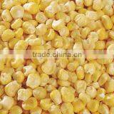 FD Freeze Dried Dehydrated Sweet Corn