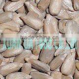 Sunflower Seed Kernels for Bakery and Confectionary Grade thumbnail-1