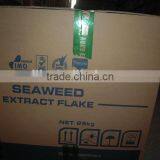 Best Quality and Price Seaweed Extract Fertilizer thumbnail-1