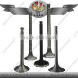 Engine Valve for Single Cylinder Diesel Engine Tractor thumbnail-1