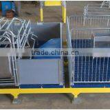 Sow Gestation Pen As Pig Farm Equipment thumbnail-5