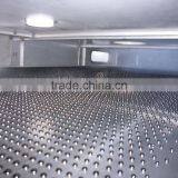 C5, C9 Petroleum Resins Granulating Machine thumbnail-2