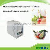 3g/h Ozone Filter Water Cleaning Vegetable Cleaner Ozone Generator for Water Treatment thumbnail-3