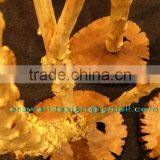 Natural Wood for Artificial Flowers thumbnail-4