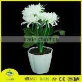Beautiful Led Plastic Rose Flower With Lighting Home Decoration thumbnail-5
