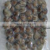 New Season High Quality Frozen Vacuum Packed Short Necked Clam thumbnail-6