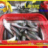 IQF LAYANG SCAD WHOLE ROUND thumbnail-5