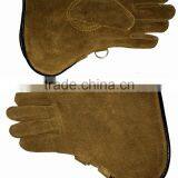 Eagle Falconry Gloves thumbnail-1