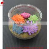 Mini Artificial Succulent Plants in Glass Bowl Potted Mini Succulents thumbnail-1