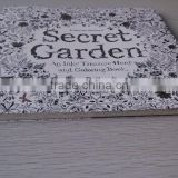 Secret Garden 96 Pages English Edition Coloring Book For Children Adult Relieve Stress Kill Time Graffiti Painting Drawing Book